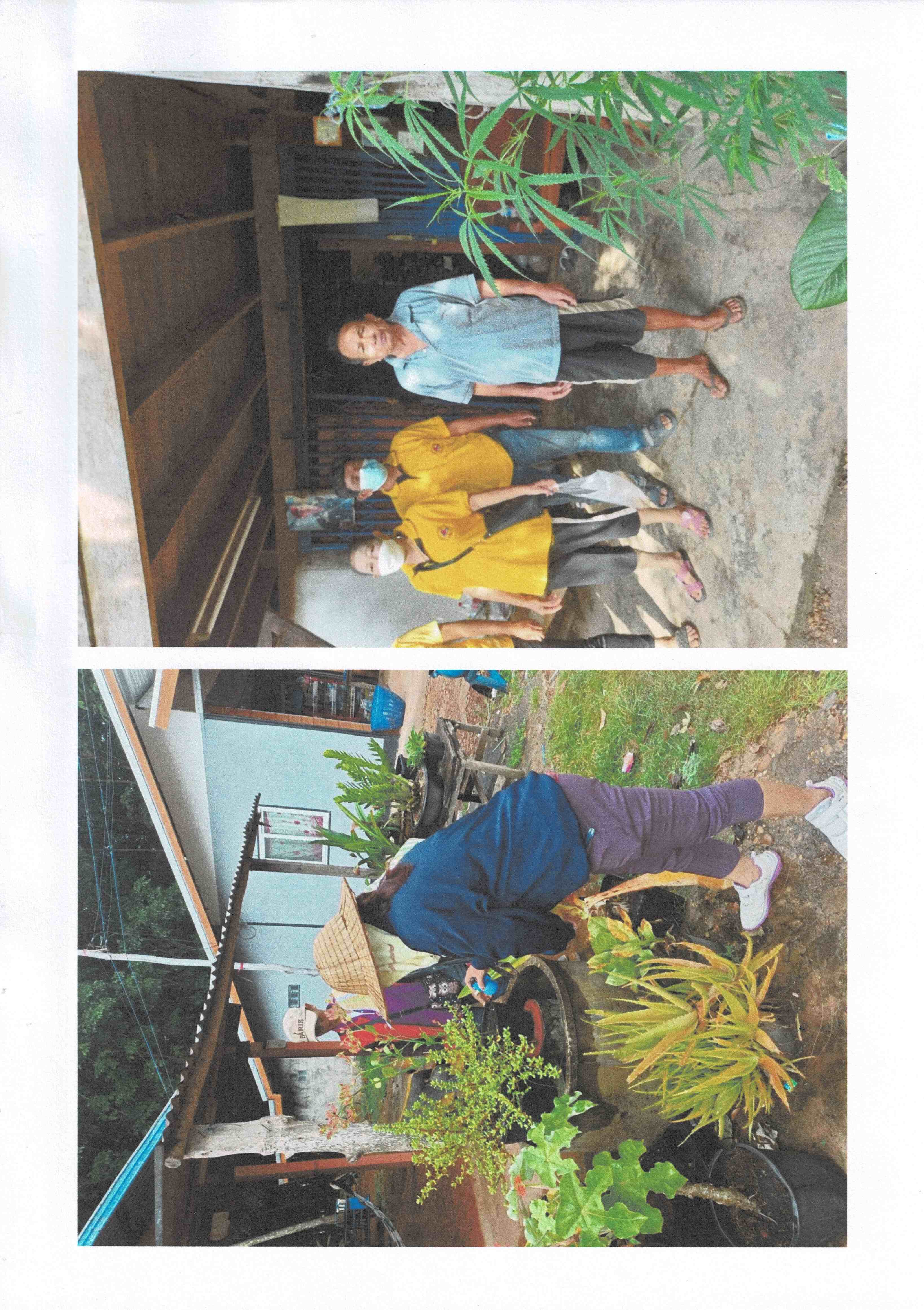 โครงการตำบลซางปลอดลูกน้ำยุงลาย